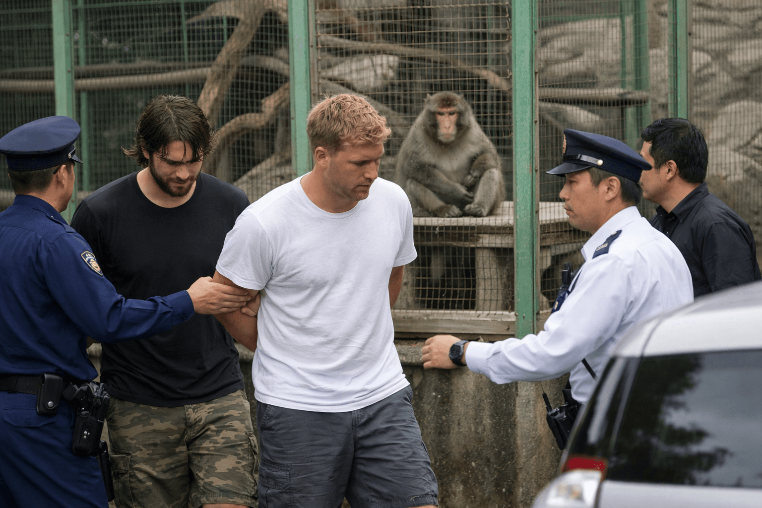 Monkey Business: Cryptocurrency Stunt Ends in Arrest