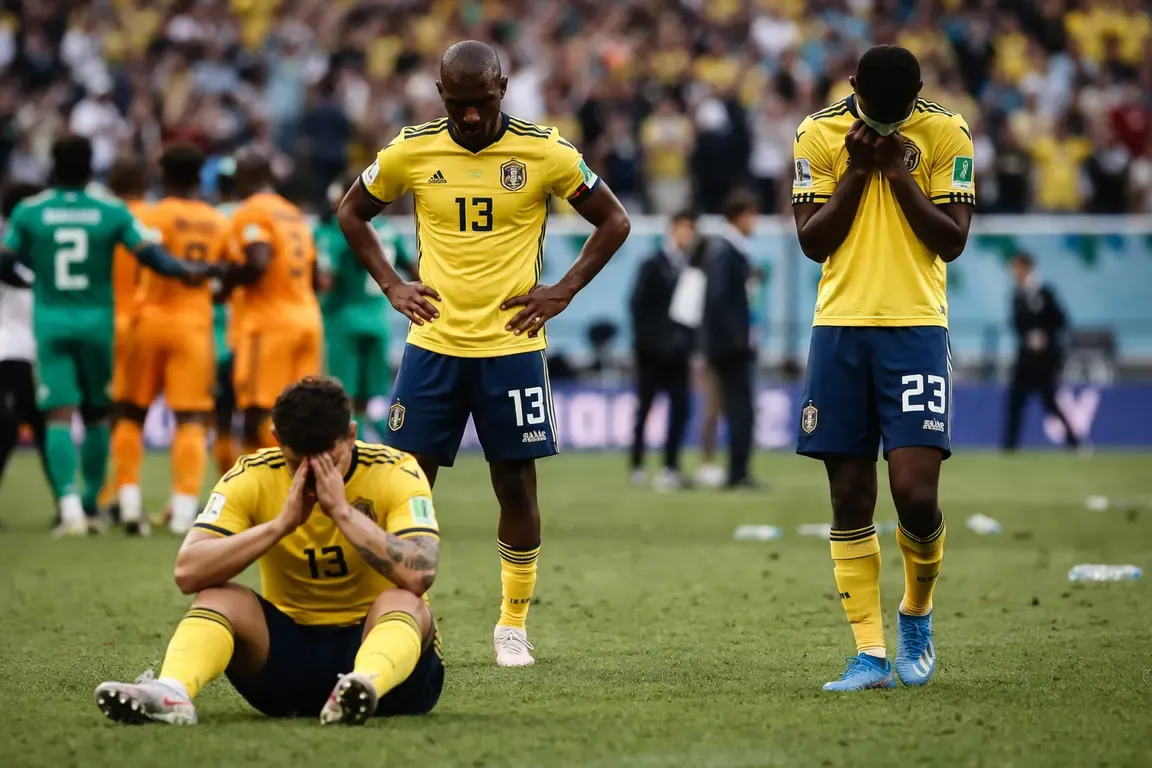 Ecuador Falls 1-0